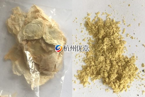 如何利用宋慈高通量多樣品組織研磨儀研磨植物組織？